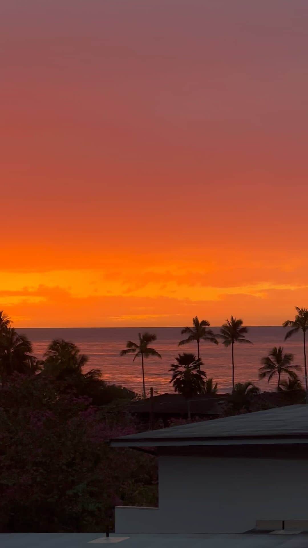 Sophie Wilsonのインスタグラム：「Doesn’t ever get old 🧡 Home for the holidays!」