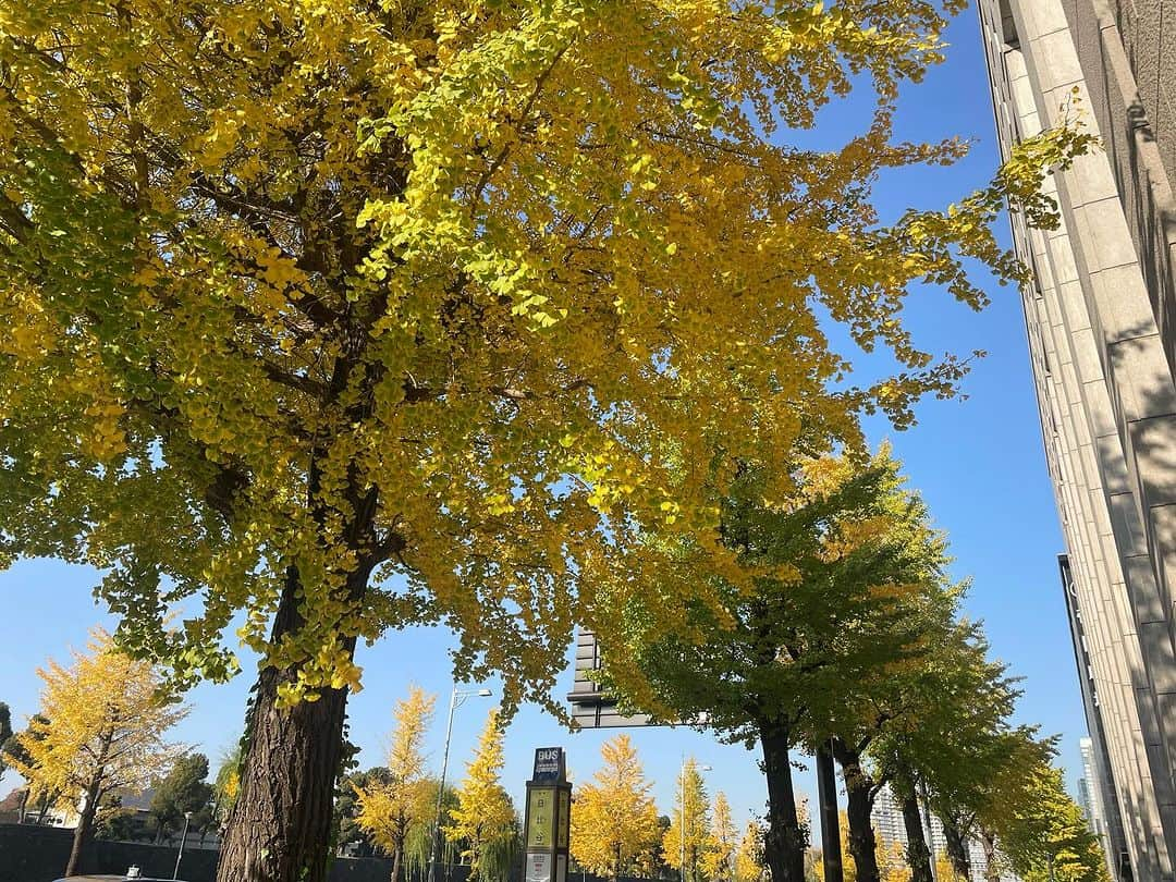 塩田真弓さんのインスタグラム写真 - (塩田真弓Instagram)「2年半ぶり、対面は初めて マーク・カーニーさんにインタビューの機会がありました。 10年前の2013年から7年間🇬🇧イングランド銀行総裁 その前は🇨🇦カナダ銀行総裁 そんなことがあるなんてーというキャリアを 築いてきたカーニーさんが 来年の世界経済見通し、 日本の金融政策の道筋についても 語りました。 今週中にモーサテで放送します！  街は銀杏の紅葉とクリスマスツリーが美しいですね〜  #markcarney #boe #boc #GFANZ #絶賛撮影素材とにらめっこ中」12月3日 11時31分 - mayumi_shiota_