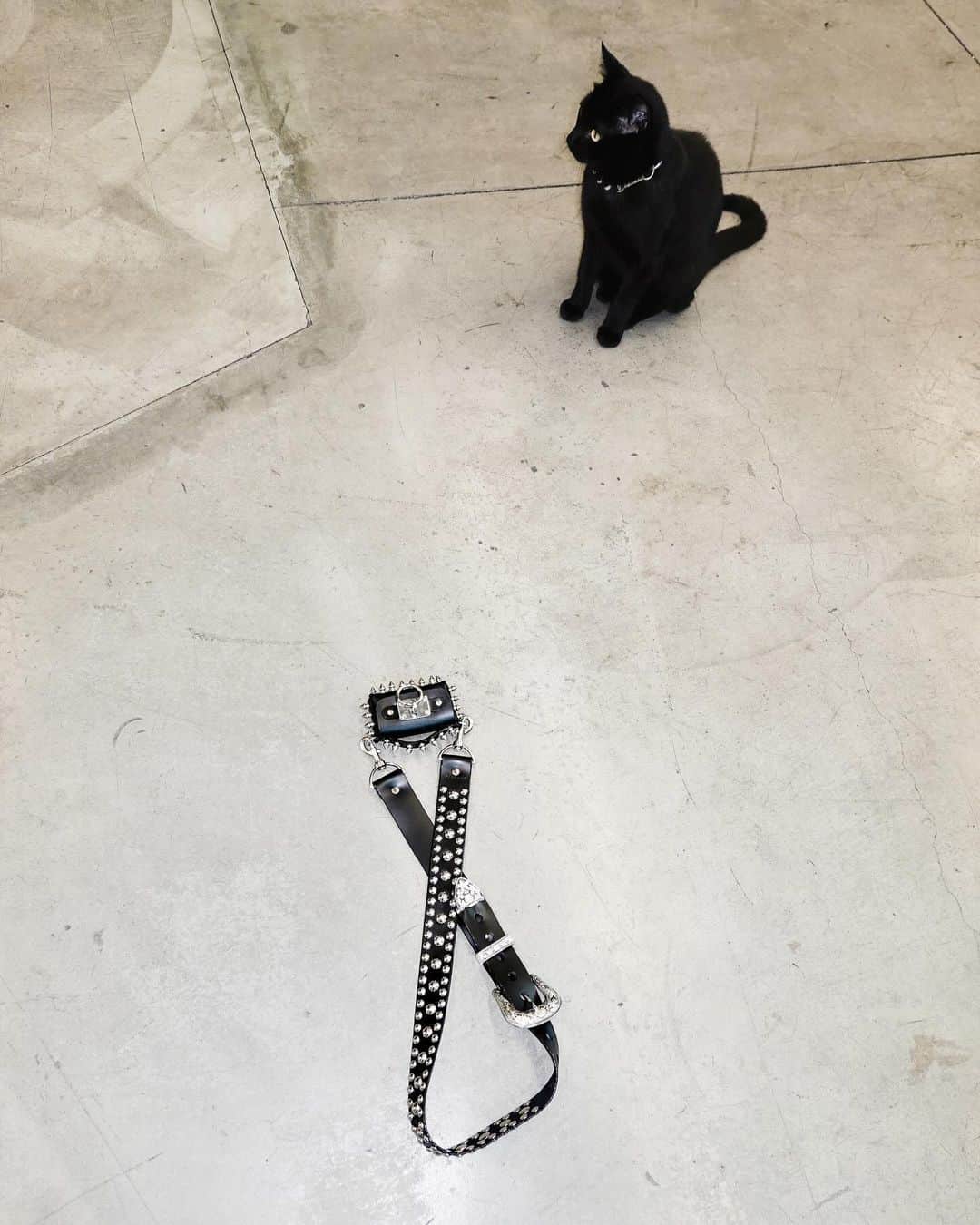 ZANA BAYNEさんのインスタグラム写真 - (ZANA BAYNEInstagram)「Objects in mirror may be *tinier* than they appear」12月3日 3時15分 - zanabayne