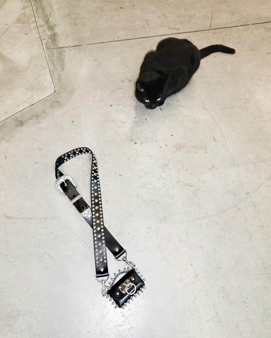 ZANA BAYNEさんのインスタグラム写真 - (ZANA BAYNEInstagram)「Objects in mirror may be *tinier* than they appear」12月3日 3時15分 - zanabayne