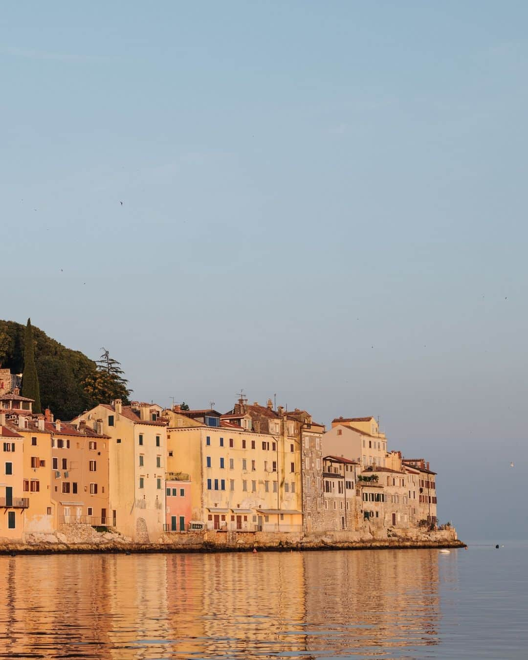 National Geographic Travelさんのインスタグラム写真 - (National Geographic TravelInstagram)「Photo by @ciriljazbec | Rovinj, Croatia, is a place where history meets charm. The Church of St. Euphemia dominates the skyline in this quaint town on the Istrian Peninsula. Travelers can explore cobblestone streets, local shops, and a vibrant fishing port.」12月3日 4時10分 - natgeotravel