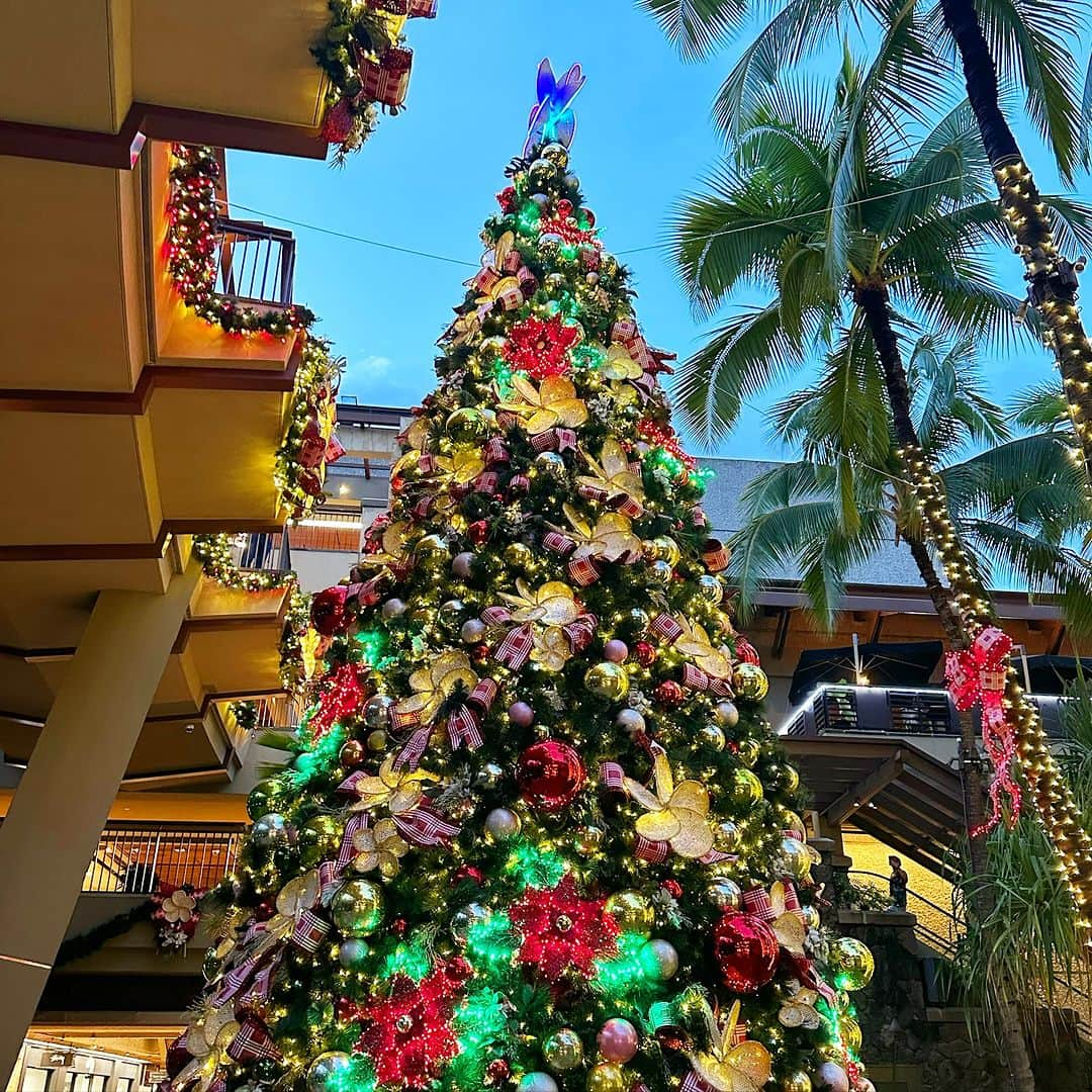 ロイヤル・ハワイアン・センターのインスタグラム：「Aloha, December from @royalhwnctr 🎄」