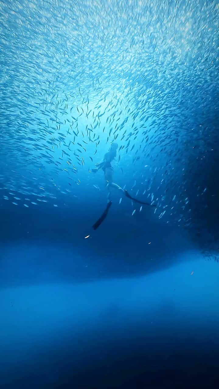 LuCyCoのインスタグラム：「Life...   【Wanderlust】  A desire to travel,  to understand one's very existence.  旅をして自己の存在を理解したいと願うこと  この言葉を胸にして12年目🦋  📸  @islandboy_okinawa   #okinawa #skindiving #freediving  #underwater #underwaterphotography #nature #underwaterlife #freedivinghub #oceanlover #marinediving #divermag #gopro #goprolife #goprojp #海のある生活」