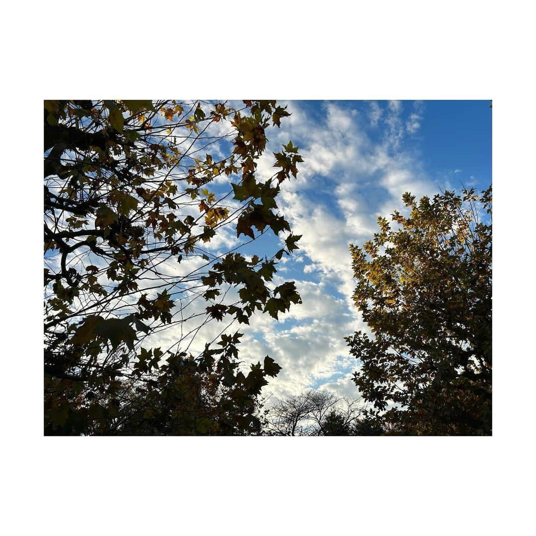 三倉茉奈さんのインスタグラム写真 - (三倉茉奈Instagram)「昨日見た空。綺麗。 12月に入ったし季節は冬、かな？ 朝晩冷えますね。風邪など引かないように気をつけましょう！ #sunday」12月3日 9時34分 - mana_mikura_official
