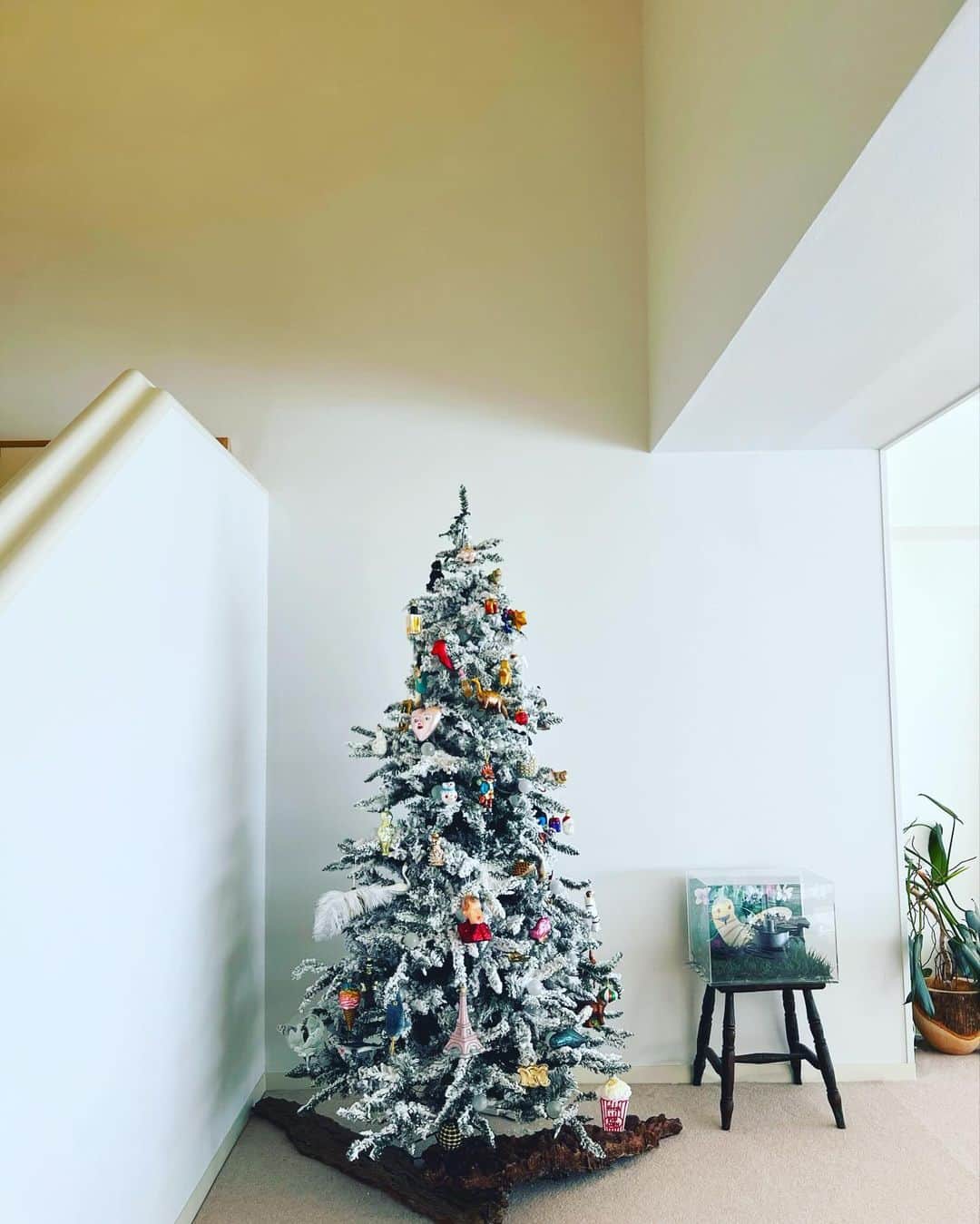 神崎恵さんのインスタグラム写真 - (神崎恵Instagram)「・ 今年もこの季節🎄 木、枝、葉を整え、 あとは 「飾っておくれ〜」と、 息子たちに任せました。 ツリーを出すのもなかなか楽には終わらないもので、 クリスマスソングと美味しいお酒を用意して、息子たちがいる日を狙い組み立てます。 付き合ってくれる(たぶん、しょーがねーなといった具合だろうが)息子たち、ありがとよ〜。 12月の実感、少しずつ湧いてきました。」12月3日 21時02分 - megumi_kanzaki