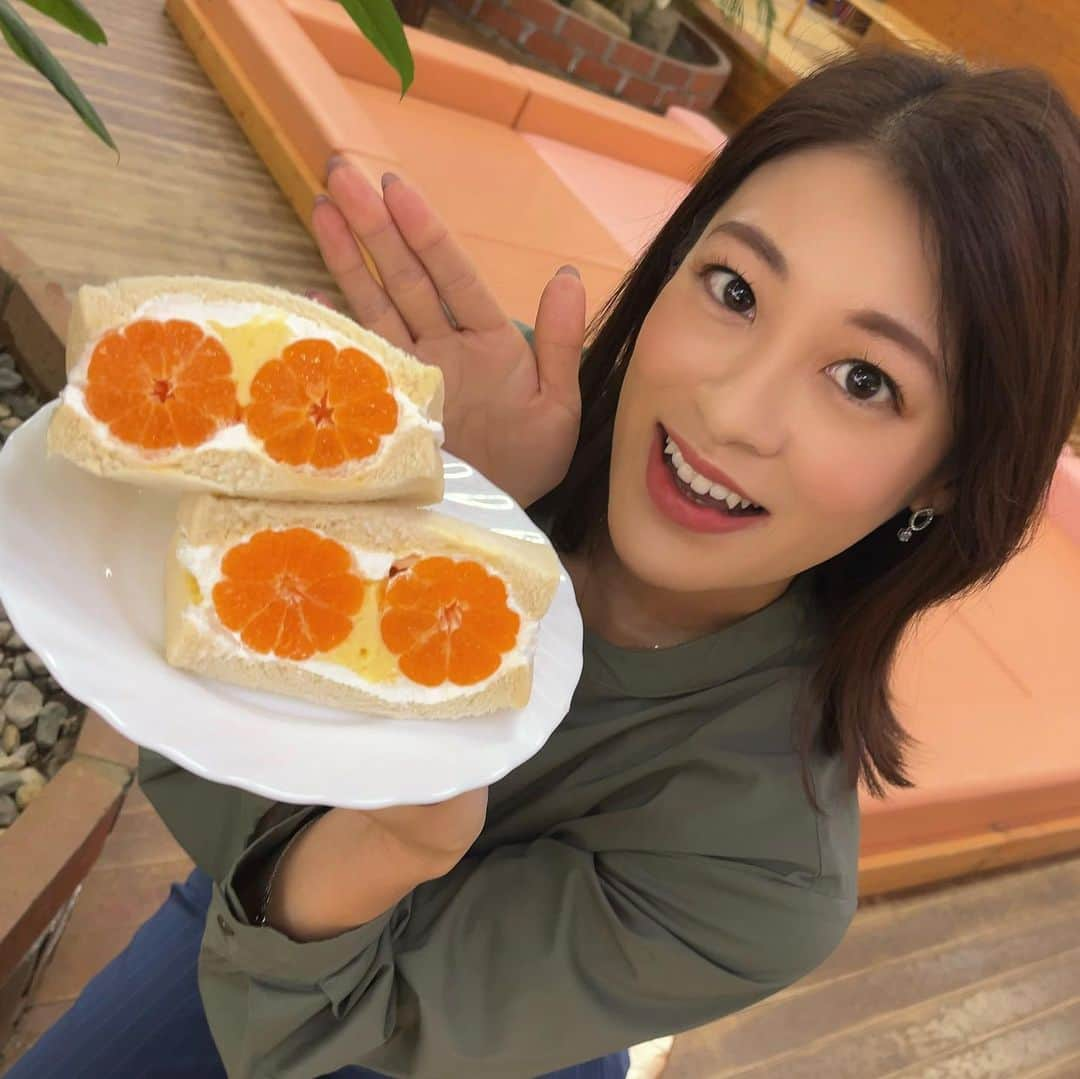 小宮山瑞季のインスタグラム：「まるで花のように美しいフルーツサンド☺️💓 中に入っているのは、とれたてのミカンです🍊  千曲市の観光農園、 #あんずの里アグリパーク では、 いまみかん狩りが行われています☀️ 先日取材に行くと、ハウス内にある360本もの木に たわわに実っていました★  4種類のミカンの木があり、 いまは早生品種の日南、宮川が食べ頃！ということで、 食べ比べも楽しめますよ♩  とにかく甘くて、みずみずしくて、 ひとつ食べただけでビタミンチャージできた気分でした😎✨  パーク内のパン店では、 その採れたてのみかんをつかったパンを販売していて、 私が持っているのは、フルーツサンド🍞 カスタードクリームとホイップクリームが たっぷりはいっていて、 みかんも丸ごと1個使っています！！！  甘さがちょうどよくて、パンがふわふわで おいしかったですよ～🎈🌈  みかん狩りは1月いっぱいまで行われる予定で、 ミカンがなくなり次第終了です！   #みかん  #orange  #みかん狩り  #千曲市  #chikuma  #観光農園  #フルーツ狩り  #長野お出かけ  #おすすめお出かけスポット  #フルーツサンド  #映えスイーツ  #日南  #宮川  #食べ頃  #食べ放題  #時間無制限  #ビタミンチャージ  #パン  #みんなの信州  #長野放送  #アナウンサー  #小宮山瑞季」