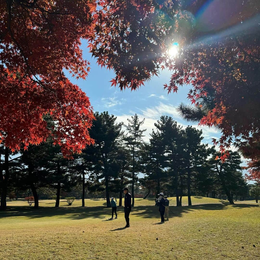 SHUHEI.Kさんのインスタグラム写真 - (SHUHEI.KInstagram)「連日で霞ヶ関カンツリー倶楽部。 東京オリンピックの東コースと、井上誠一氏設計の西コース。  特に西のINコースはかなりお久しぶり。 グリーンのコンディションも最高で大満足な2日間。 同伴のMAJESTY GOLF社長から貰った高級ゴルフボールの打感が最高でした！」12月3日 19時38分 - kamishu14