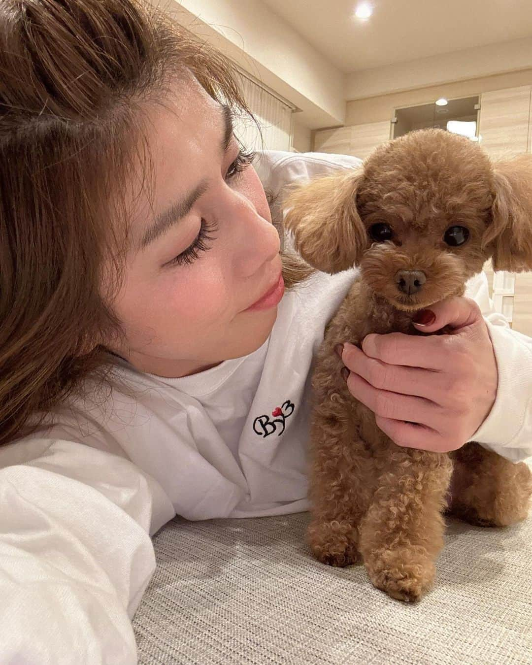 吉田沙保里さんのインスタグラム写真 - (吉田沙保里Instagram)「リリー🐶🩷 なんか、全部切ない顔してない？  そんで3枚目の写真 股関節大丈夫？🫣  肉球が可愛い🐾♡  #愛犬 #リリー #トイプードル #女の子 #3歳」12月3日 19時50分 - saori___yoshida