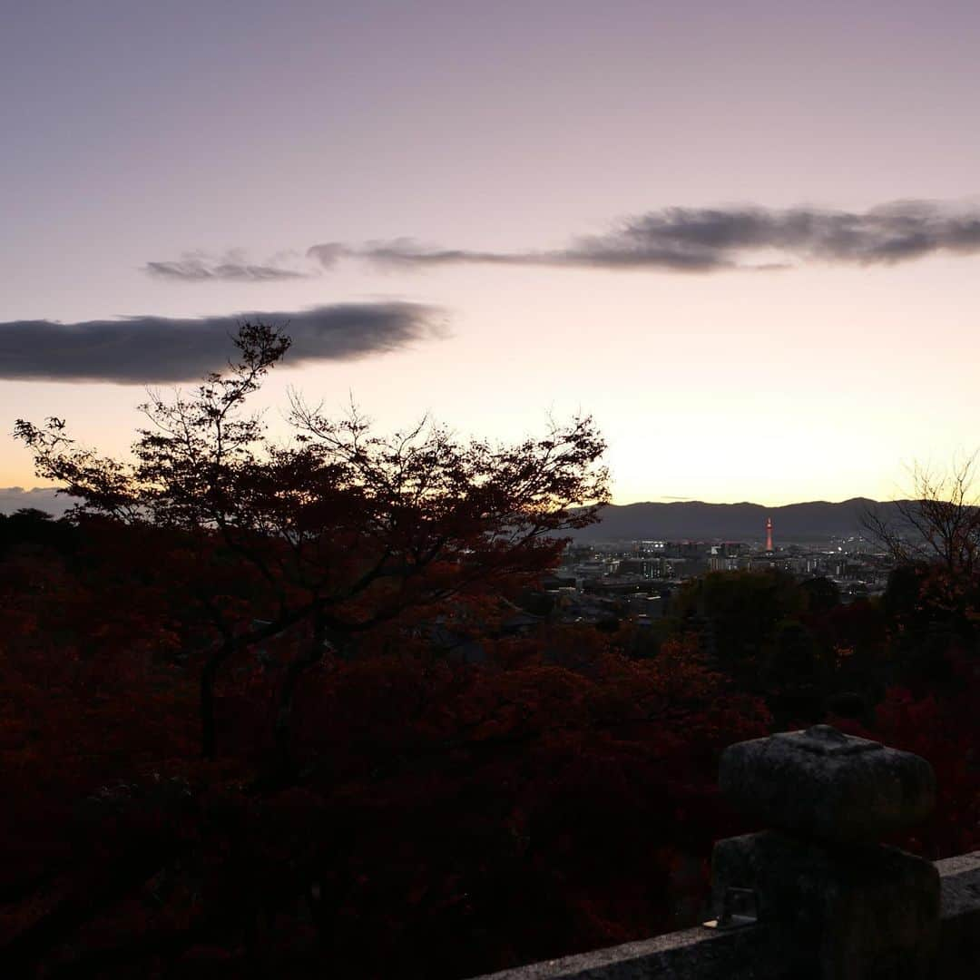 岡田美季さんのインスタグラム写真 - (岡田美季Instagram)「kyoto👘🍁」12月3日 19時50分 - mikiokada0225