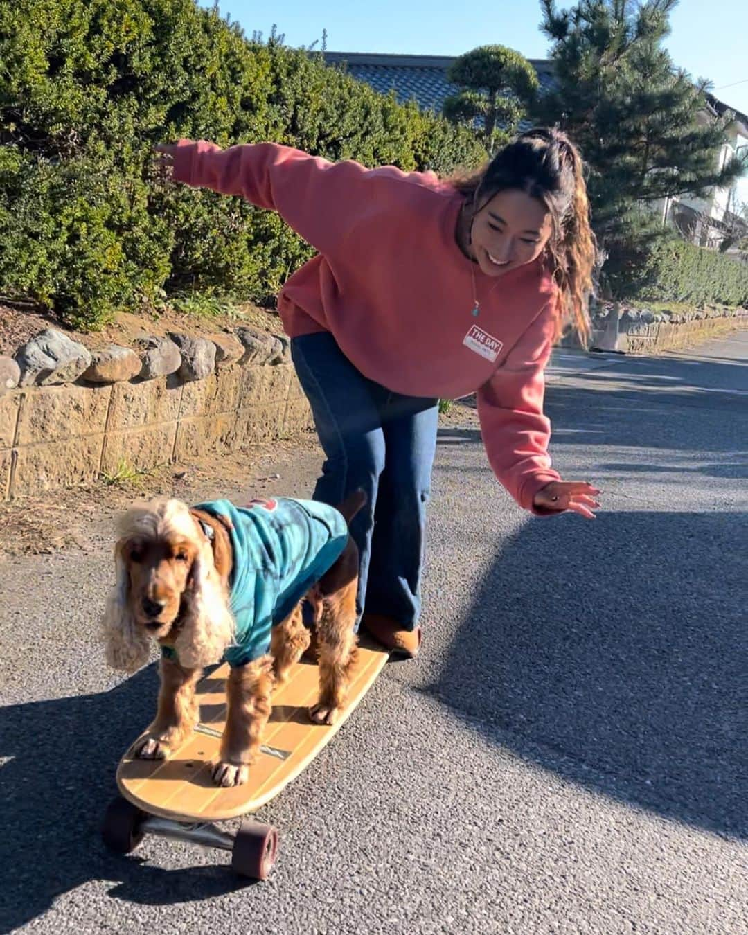 MAIMAIさんのインスタグラム写真 - (MAIMAIInstagram)「Coda is good at surfing and skateboarding.✨ ナシチャンプルのフリマで大好きコーダくんが遊びに来てくれました❤️ 実家の保護犬ちゃんと同じイングリッシュコッカースパニエル🥰 ドッグサーフィン世界大会6部門賞総なめ✨ 世界で活躍するコーダくんはサーフィンもスケボーもうまくてイケメン😍 マックのCMとかいろんなモデルをしているの💕 イケメンコーダくんとのらぶらぶショット😚💕 タンデムしたりまたくぐりしたり沢山デートしました🥰 もう大好きすぎる〜😍 暖かくなったら一緒にサーフィンしようね〜🏄‍♀️✨  🐶 @satomimomi  🚩 @nasi_campur_ichinomiya  👚 @roial_intl   #イングリッシュコッカースパニエル  #コーダくん  #サーフィン犬  #サーフィン犬コーダ  #スケボー  #スケボー犬  #englishcockerspaniel」12月3日 19時44分 - maimaidesuyan