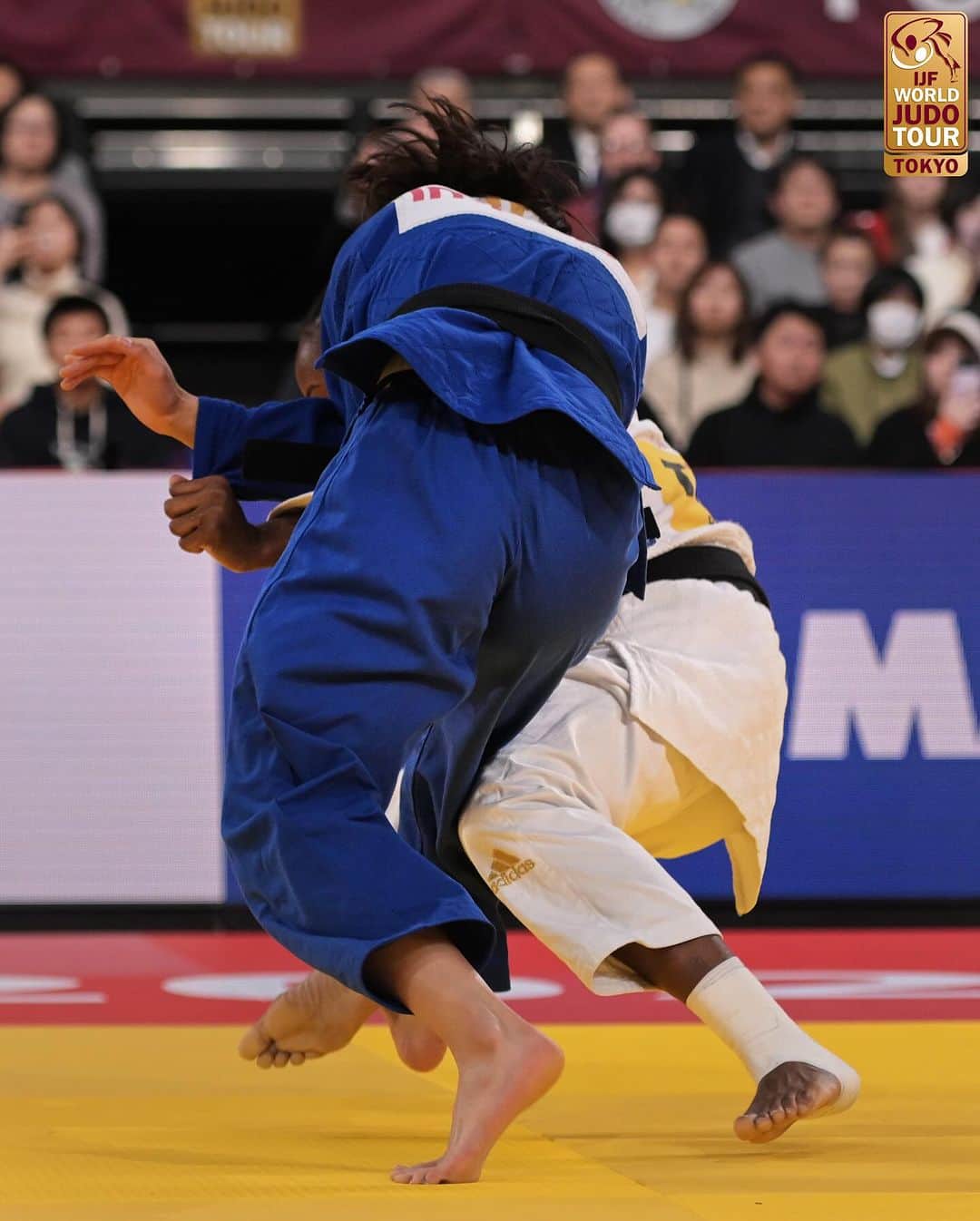 阿部一二三さんのインスタグラム写真 - (阿部一二三Instagram)「Siblings power - Uta and Hifumi ABE 🥇🥇🇯🇵   Follow all the action on JudoTV.com 📺  #JudoTokyo #Judo #Tokyo  #Japan  #Sport #Olympics #OlympicQualifiers #RoadToParis2024 #WJT」12月3日 19時56分 - hifumi.abe
