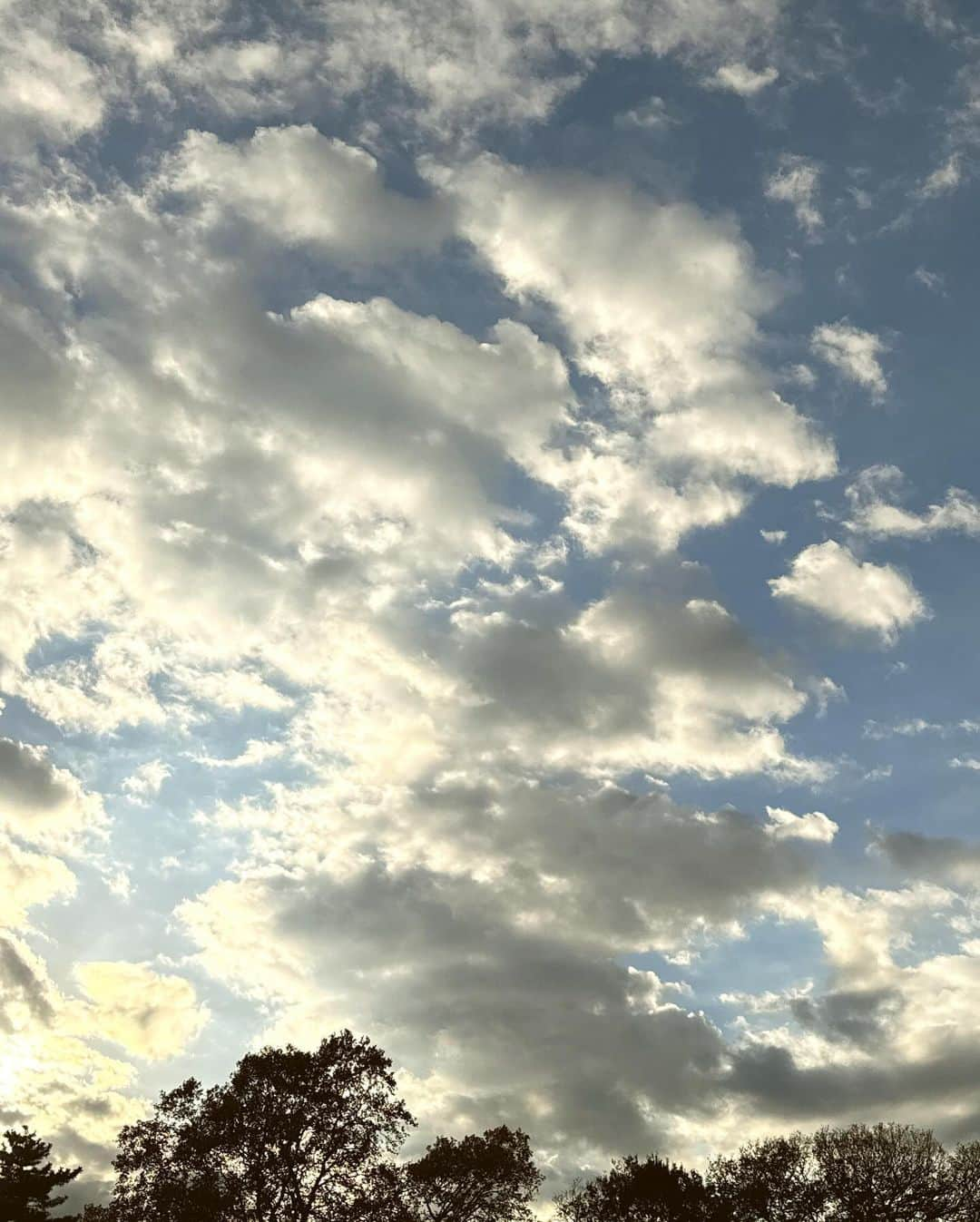 蟹沢萌子さんのインスタグラム写真 - (蟹沢萌子Instagram)「_ 紅葉を見に行きました🍂  桜にも出会えてしまったよ〜(!)」12月3日 20時03分 - kanisawa_moeko_