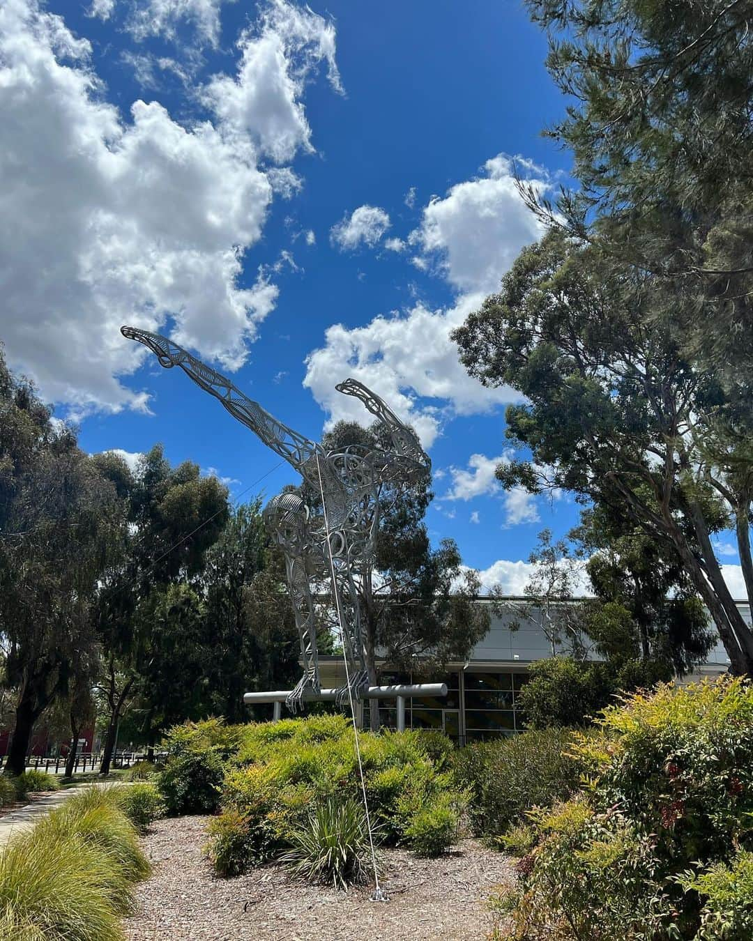 エリー・ブラックさんのインスタグラム写真 - (エリー・ブラックInstagram)「Bits n bobs📍 Canberra, Australia」12月3日 20時05分 - ellieblack_