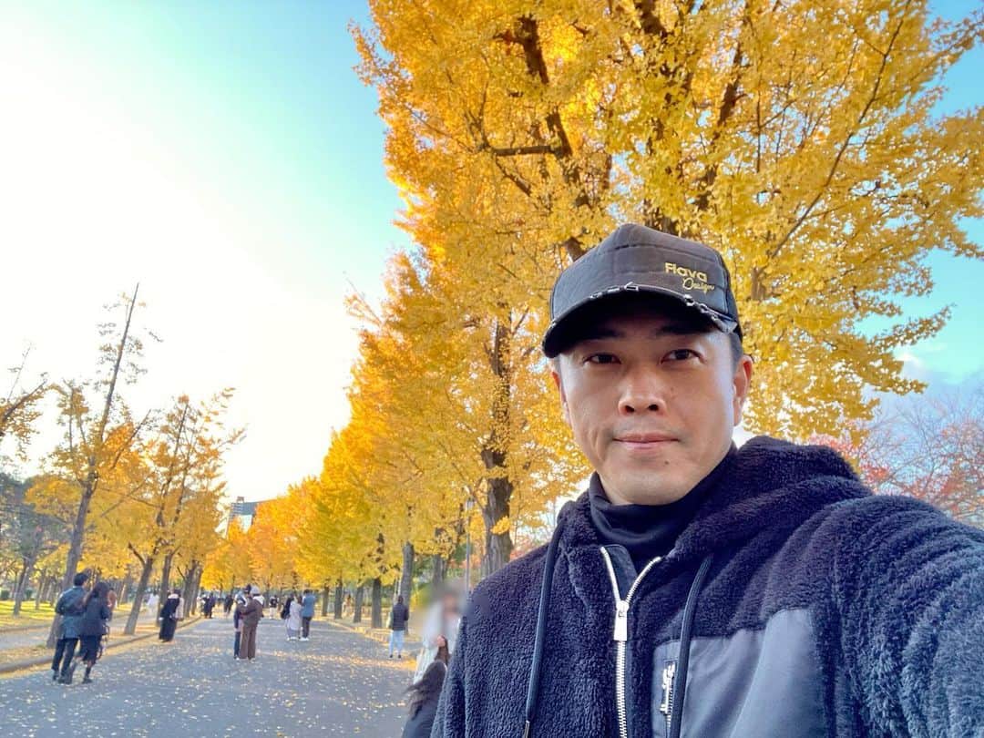 吉村洋文さんのインスタグラム写真 - (吉村洋文Instagram)「イチョウの黄葉が綺麗やったで。」12月3日 20時30分 - yoshimurahirofumi