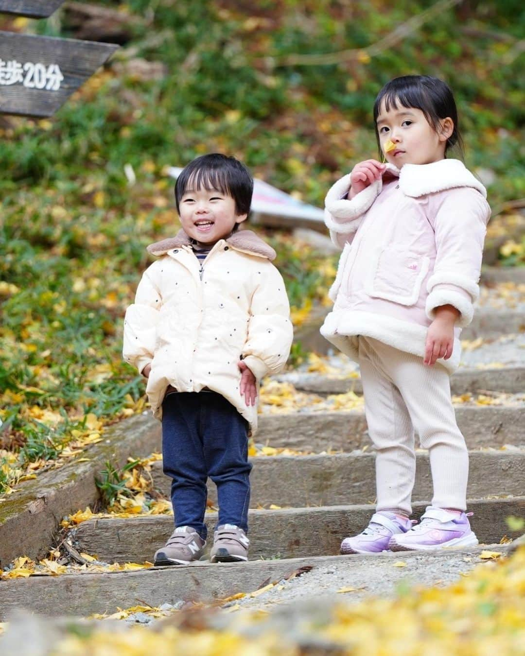 きりのさんのインスタグラム写真 - (きりのInstagram)「紅葉綺麗でした〜😁 神社って子ども達には退屈かな？って思ったりもしてましたが、落ち葉を拾ったりどんぐりを集めたりして楽しそうに過ごしてくれてよかったです🍁  #紅葉狩り」12月3日 20時55分 - kirino0808