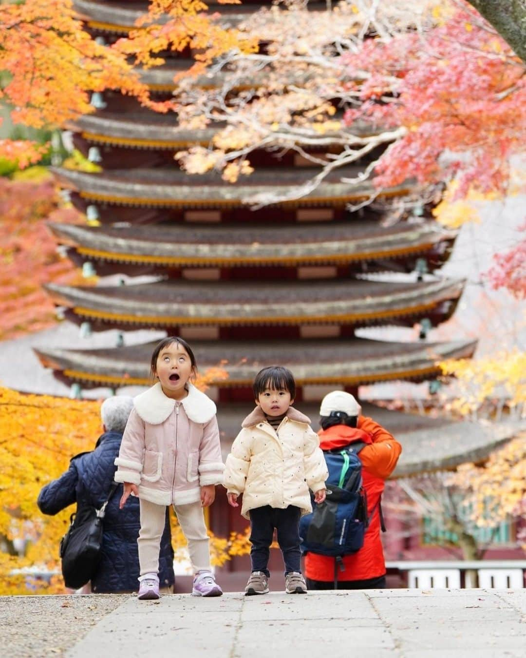 きりのさんのインスタグラム写真 - (きりのInstagram)「紅葉綺麗でした〜😁 神社って子ども達には退屈かな？って思ったりもしてましたが、落ち葉を拾ったりどんぐりを集めたりして楽しそうに過ごしてくれてよかったです🍁  #紅葉狩り」12月3日 20時55分 - kirino0808