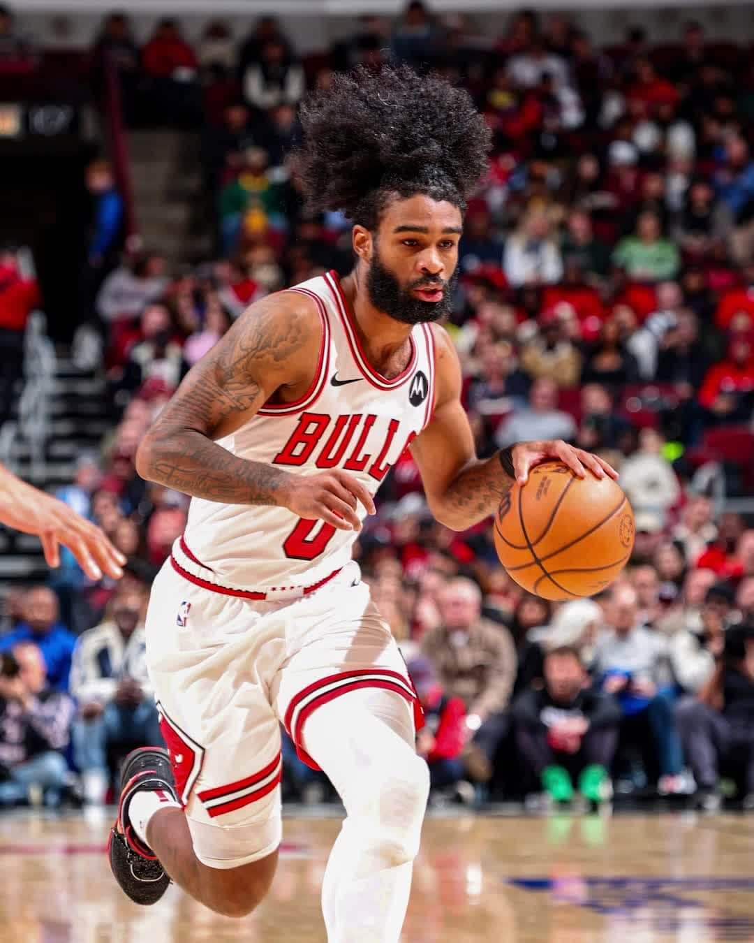 Chicago Bullsのインスタグラム：「@cobywhite is on FIRE tonight 🔥」