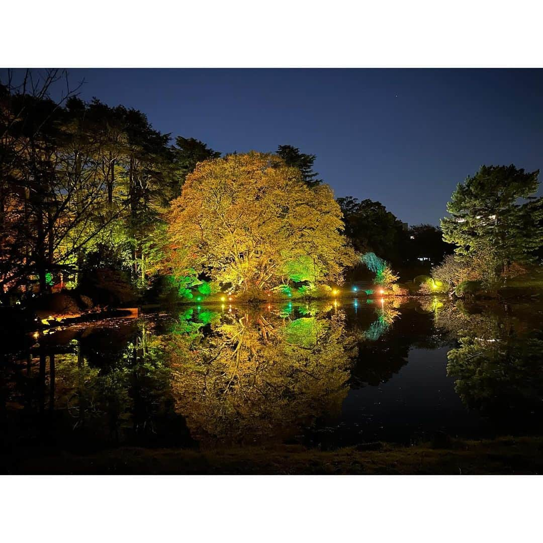 神戸麻衣さんのインスタグラム写真 - (神戸麻衣Instagram)「今週は、沼津の生放送が終わってから移動して🚄6日間幕張🎤  山形の企業さんからオファーをいただきお仕事をさせていただきました☺️  数百・数千人といるフリーアナウンサー、司会の中で制作・キャスティングの提案からではなく、担当者さんご自身がネット検索してオファーをくださったらしく、どの現場も一期一会だと思っているけれど そんなにピンポイントなのは、かなりの確率で、本当にすごいと思いました😳✨ 良い環境の中でお仕事をさせていただきありがとうございました✨ 　　 いただいた山形のお菓子も新食感で軽くて、すごくおいしかった❣️ 米粉なのもポイント高いです😋🌾  1週間ほどしかやってない、新宿御苑×NAKEDの紅葉イルミネーション🍁 すごく綺麗でした☺️ 水面に映る木々が本当にキレイだったんだけど、写真だと伝えきれなくて残念🥹 今年は秋あった❓ってくらいあまり季節感がなかったので、少しだけ季節を感じられて良かった☺️  #司会 #mc #モデル #model #リポーター #ナレーター #reporter #ナレーション #スポーツmc  #イベント #イベントmc #神戸麻衣」12月3日 12時35分 - mai_g916