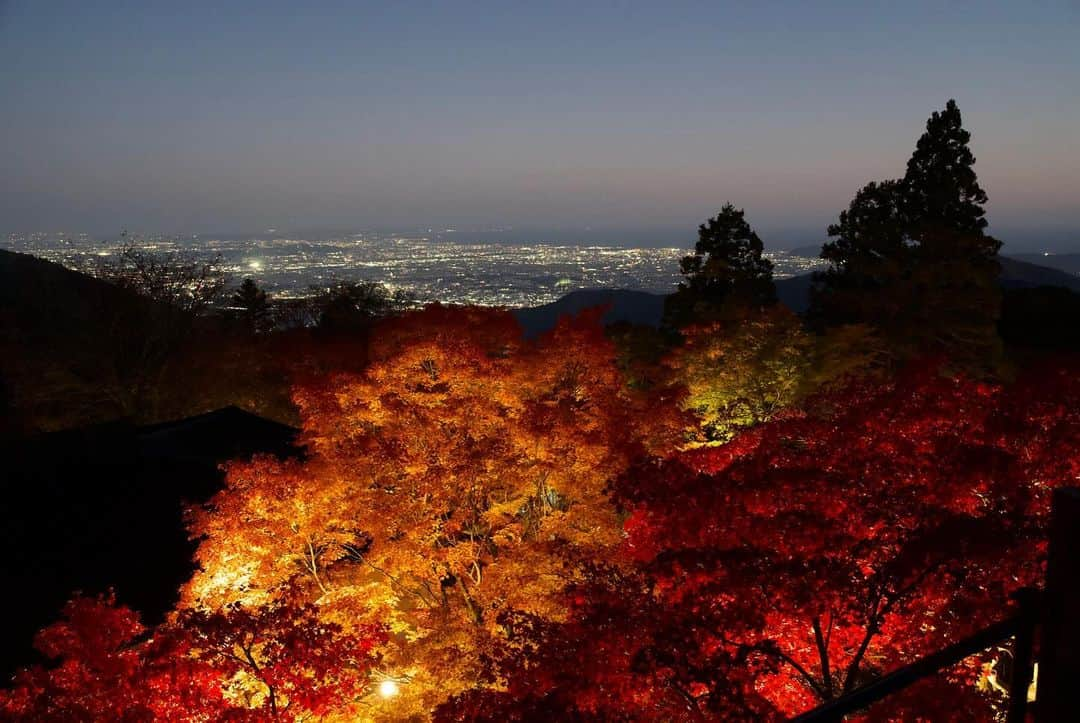 Ryo Yamazakiさんのインスタグラム写真 - (Ryo YamazakiInstagram)「先週の大山の紅葉とライトアップが素晴らし過ぎた🍁 #寒くなる前に行っといて良かった #大山 #紅葉狩り #大山阿夫利神社 #大山寺 #ライトアップ紅葉  Oyama is famous for its beautiful fall foliage.🍁  #Oyama #Oyamatemple」12月3日 12時45分 - rojiman