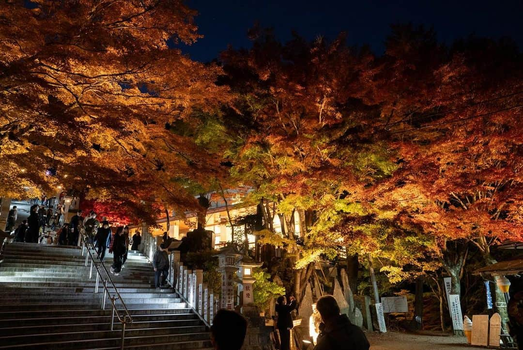 Ryo Yamazakiさんのインスタグラム写真 - (Ryo YamazakiInstagram)「先週の大山の紅葉とライトアップが素晴らし過ぎた🍁 #寒くなる前に行っといて良かった #大山 #紅葉狩り #大山阿夫利神社 #大山寺 #ライトアップ紅葉  Oyama is famous for its beautiful fall foliage.🍁  #Oyama #Oyamatemple」12月3日 12時45分 - rojiman