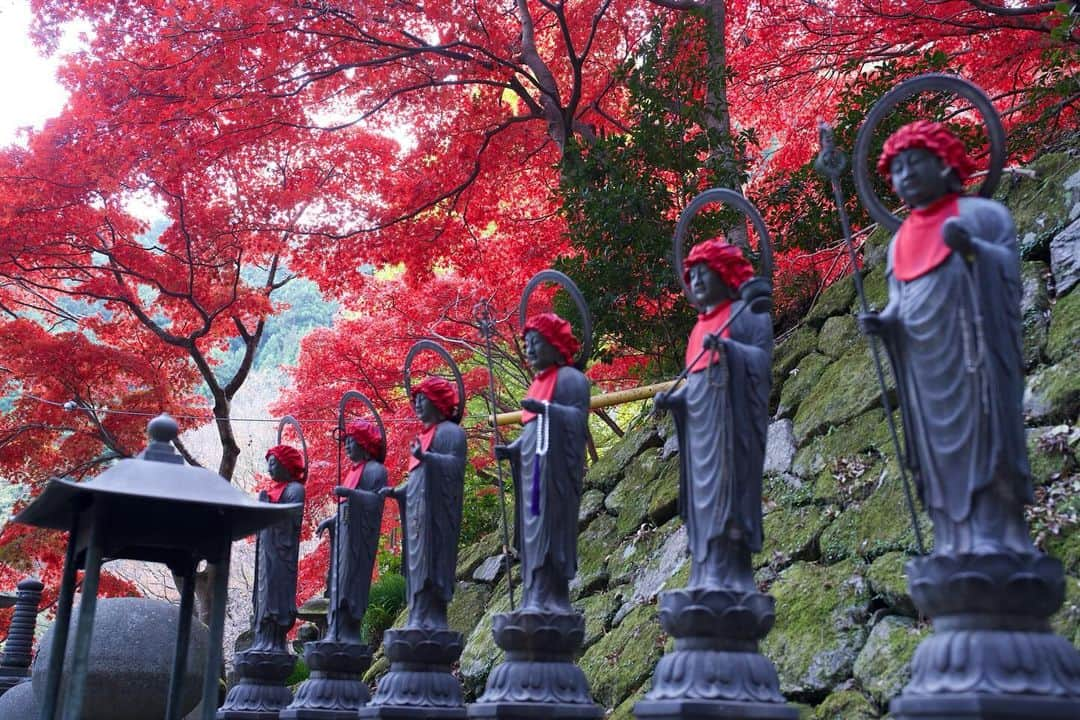 Ryo Yamazakiさんのインスタグラム写真 - (Ryo YamazakiInstagram)「先週の大山の紅葉とライトアップが素晴らし過ぎた🍁 #寒くなる前に行っといて良かった #大山 #紅葉狩り #大山阿夫利神社 #大山寺 #ライトアップ紅葉  Oyama is famous for its beautiful fall foliage.🍁  #Oyama #Oyamatemple」12月3日 12時45分 - rojiman