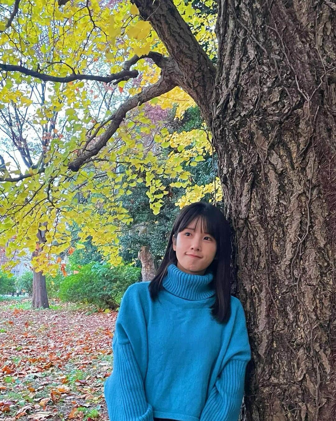 道重佐保さんのインスタグラム写真 - (道重佐保Instagram)「良き週末をお過ごしください🍁🍂  #写真集みたいなショット#✌🏻️   #最後の1枚 #何考えちょったんやろう #おなかすいていたのかもしれない #ふふふ  . . . #紅葉 #autumn #autumnvibes🍁 #autumleaves #🍁 #ginkgo  #portrait #japanesegirl #ig_japan #followme #ootd #日本的 #山口県出身 #道重佐保 #michishigesaho」12月3日 13時15分 - sahomichishige