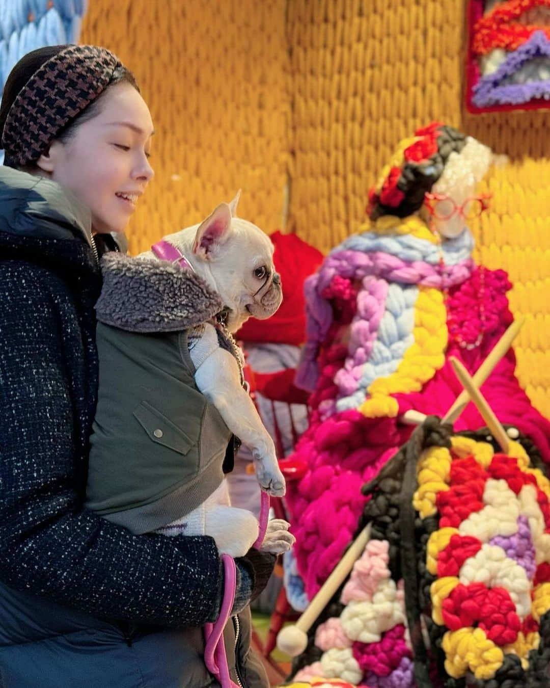 川原亜矢子のインスタグラム：「冬の散歩道🧣 #tokyo #winter #frenchbulldog #ショーウィンドウ  #フレンチブルドッグ #フレブル #養生茶」