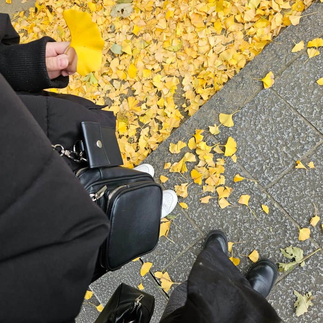 CHIHARUさんのインスタグラム写真 - (CHIHARUInstagram)「毎日通勤前に通り過ぎる銀杏の木が色付いた。 風落ち葉の秋の音。 目で見るのも 音で聞くのも。」12月3日 15時17分 - 10090725c