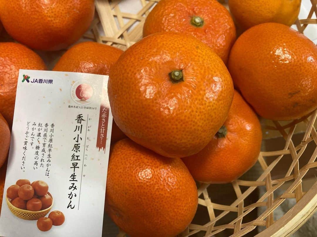 和田政宗のインスタグラム：「香川・丸亀の叔母から、もの凄く美味しいみかんが。  美味しい✨」