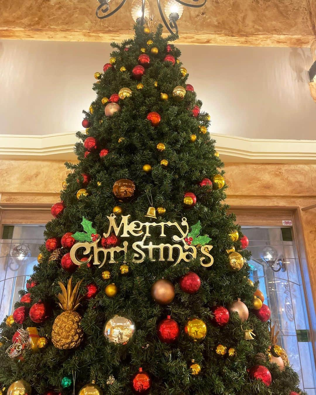 伊波紗友里のインスタグラム：「息子とパイナップルパークへ🍍  12月ということで、 店内もクリスマス仕様に🎄🎅  クリスマスツリーのオーナメントも パイナップルで可愛かった✨  ===================== #okinawa #ナゴパイナップルパーク #大家 #古宇利オーシャンタワー #沖縄北部の遊び場 #古宇利島 #沖縄北部 #PR」