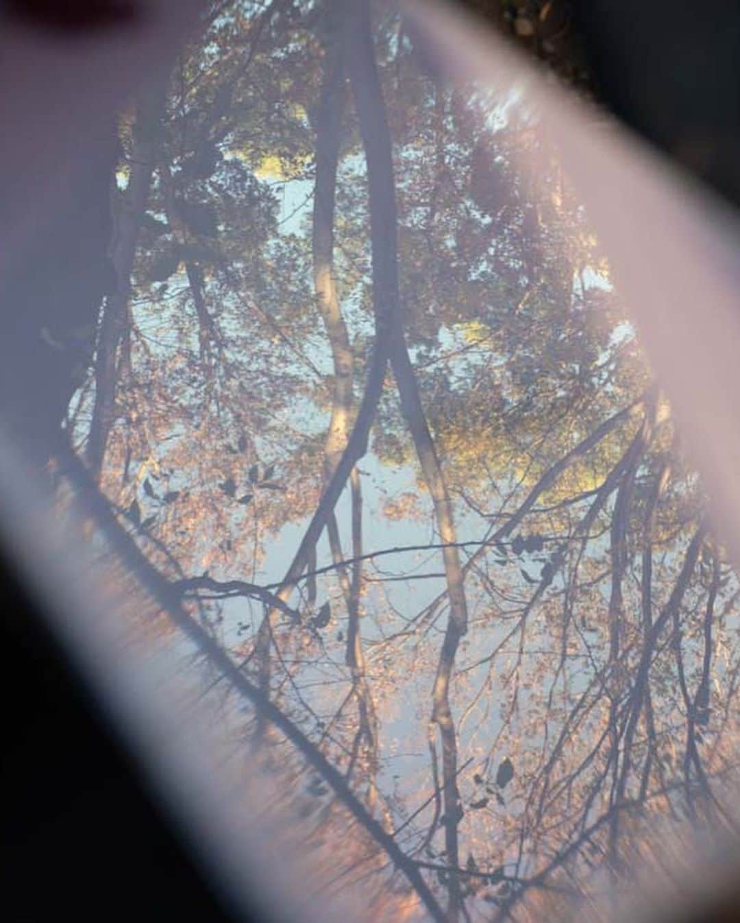 佐藤寛太さんのインスタグラム写真 - (佐藤寛太Instagram)「「せーの」と一斉に木の葉が舞うと、 宮沢賢治が愛した世界に生きてる心地がします。  少し二日酔いの良い日曜日でした  いちょうの実」12月3日 16時55分 - kanta_sato_