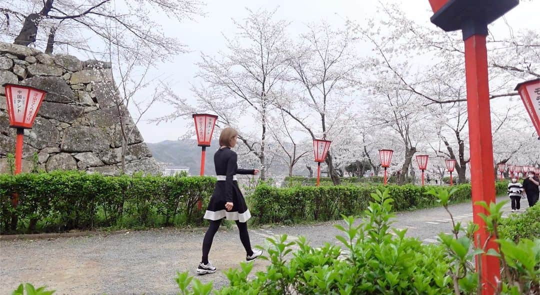 高山沙織さんのインスタグラム写真 - (高山沙織Instagram)「【最長片道切符の旅　振り返り♯25】 こんにちはアンドロイドのお姉さんです。 私は鳥取に来ております。 最長片道切符の旅始めていきます。  列車はのどかな風景を進んでいきます乗車してから50分ほどで終点の智頭駅に到着 。智頭駅は第３セクターの私鉄、智頭急行の始発駅でもあります。  引き続き因美線東富山駅の列車に乗って行きます。 列車はしばらく智頭急行線と並走して走ります。 智頭急行の路線は綺麗に保たれています。 一方因美線の路線には雑草が茂っています。 途中の制限速度も25kmとなっており、これは列車がある程度速い速度で走ると線路のダメージも大きくなるということで、このような遅い速度で走って保線作業の費用を削減しようという意図があるのだそう。  JR西日本のローカル線では時々目にする必殺徐行という手段ですね   １時間ほどで東津山駅に到着します。 ここで30分ほど乗り継ぎ時間があったので散歩してみることに。 東津山で行くべき場所といえば、B’zのボーカル稲葉さんのご実家であるイナバ化粧品店。 B’zファンの聖地のようになっていて、稲葉さんのお母様が接客してくれるらしいです。 店内には稲葉さんの幼少期の頃の写真なども飾ってあるのだそう。  ただ、まだオープン時間前だったので外観を眺めて満足しましたよ。  続いては姫新戦に乗車していきます。 姫新線の”姫”の文字の姫路に向けて。 乗り換えも合わせ2時間で姫路に到着。 もうそろそろお腹が空いてくる時刻なので、姫路タコピィに行きました。  姫路のソウルフード明石焼き風たこ焼き、タコピィふわふわで美味しいですよね。  続いては山陽本線に乗っていきます。 ここから岡山駅を目指します。  大都会岡山。  続いては津山線の快速ことぶきに乗っていきます。 約1時間半で津山駅に到着。 津山駅といえば今日朝ごろ降り立った東津山駅のお隣駅。 ちょうど7時間かけてお隣駅にやってきたのです。 そして次の列車まで2時間くらいあるので、津山駅で途中下車することに。  津山城でさくらまつりがから今日開催されているということで散歩がてら行ってみることにします。  津山城は日本の桜名所100選にも選ばれ ていて、ソメイヨシノを中心に約1000本の桜が植えられています。 お花見ということで屋台で津山名物ホルモンうどんをゲット。 昨日も鳥取でホルモンそばを食べたのですが、やはり地域が近いからかこちらでも ホルモンが有名です。津山地域は昔から畜産の流通の拠点だったこともあり鮮度の高い臭みの少ない新鮮なホルモンが手に入ったのだそう。  ただ、うどんは冷めていて微妙でした、  時間が来たので駅に戻り再び姫新線。 列車は約1時間45分で新見駅に向かいます。  新見駅に到着   今度は特急やくもで倉敷まで。  特急やくもに乗車してから53分で倉敷駅に到着。 今日も列車乗りまくりましたね。」12月3日 17時39分 - saotvos