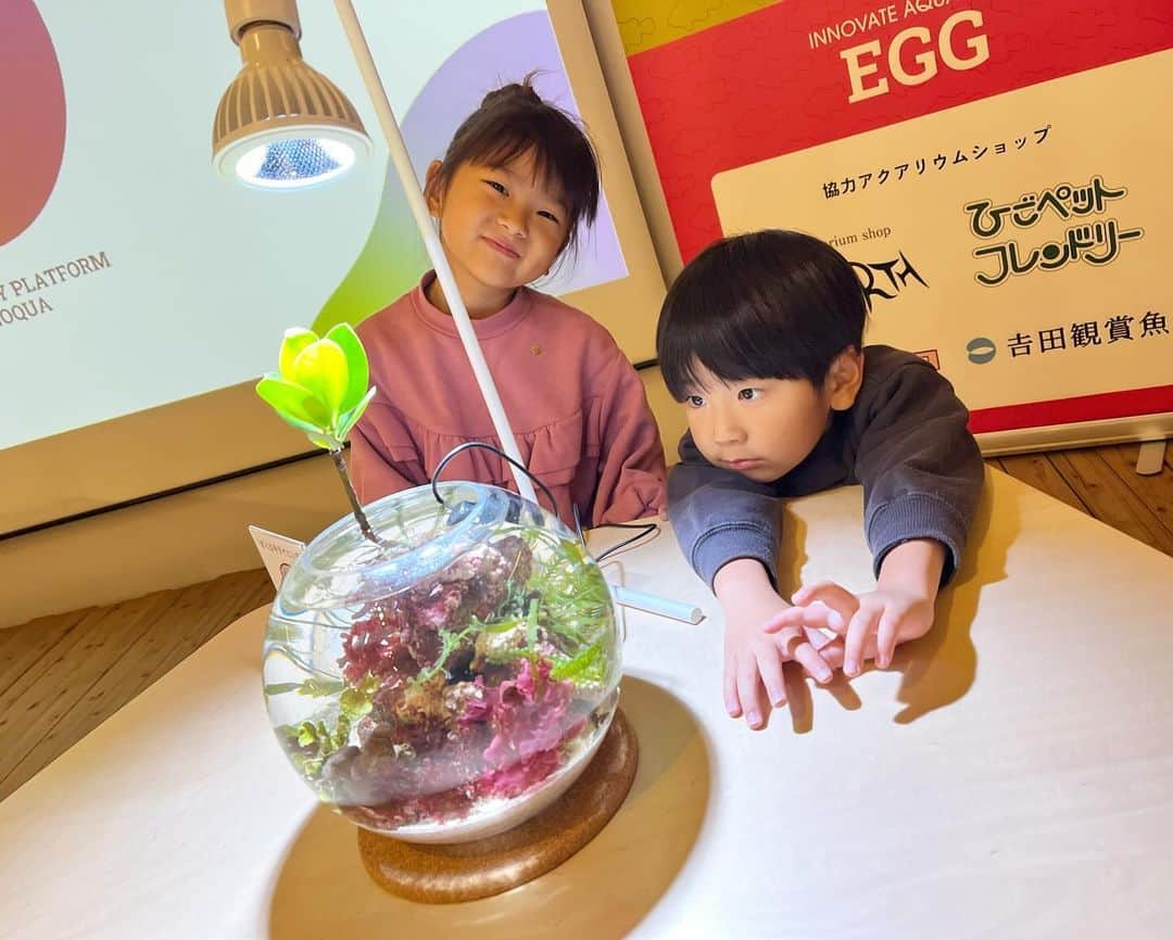 菊地あやかさんのインスタグラム写真 - (菊地あやかInstagram)「. INNOVATE AQUARIUM AWARDの 交流会にご招待していただき 家族で参加してきました🐡🤍ˊ˗ こんなにも生き物愛に溢れるひとが いるんだと驚かされました…凄い…！ 生き物って知れば知るほどほんと面白い𓆡 ⋆ 子供たちも素敵な経験ができて 楽しかったみたいで何より👦🏻👧🏻👦🏻💓 ありがとうございました ☺︎ 採取一家として来年の採取も頑張ろ！！！笑 #イノアク#イノカ#アクアリウム#幼魚 #海水魚#水槽のある暮らし#岸壁採取 #3兄弟#男の子ママ#女の子ママ#年子ママ」12月3日 17時39分 - ayaka_official06