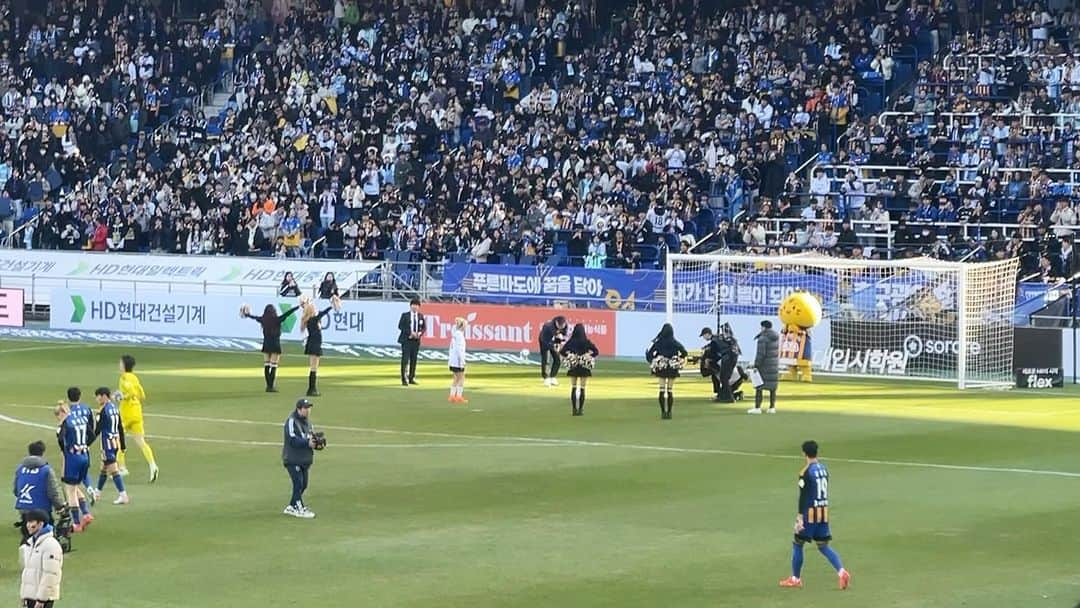 ダヨンのインスタグラム：「울산현대축구단의 승리를 축하드립니다!🫶🐯」