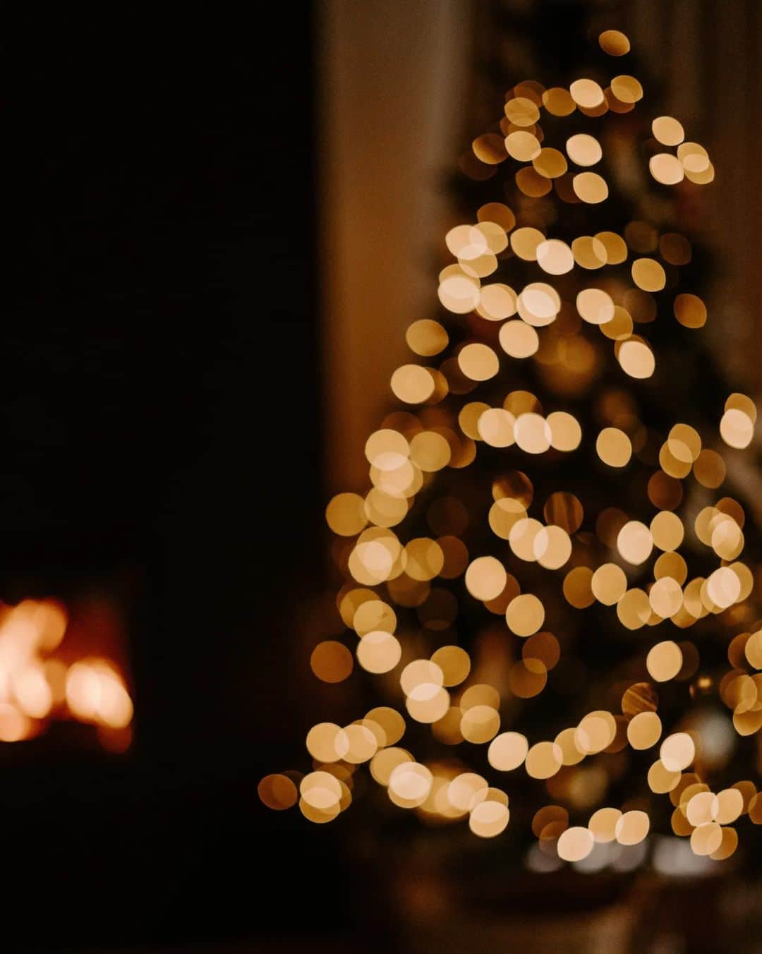ツベタナ・ピロンコバさんのインスタグラム写真 - (ツベタナ・ピロンコバInstagram)「Пожелавам ви топъл и уютен неделен ден! 💫🎄😌 #decembermood #home #christmastree」12月3日 17時49分 - tpironkova