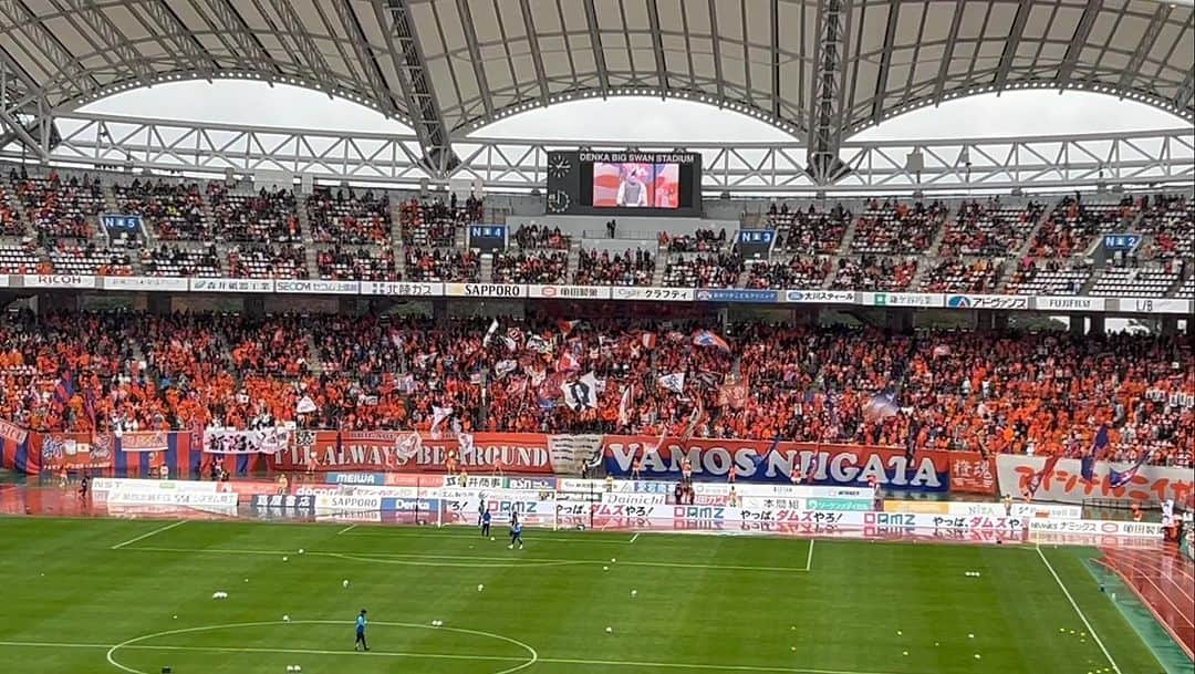 ミノルクリスのインスタグラム：「アルビレックス新潟今季最終戦！ 勝利✨冷たい雨の中選手の皆さんお疲れ様でした！ 今シーズン家族で毎戦毎戦楽しませてもらいました！ ありがとうございました！ 来シーズンも全力で応援します📣🦢⭐️👑⚽️ #albirex」