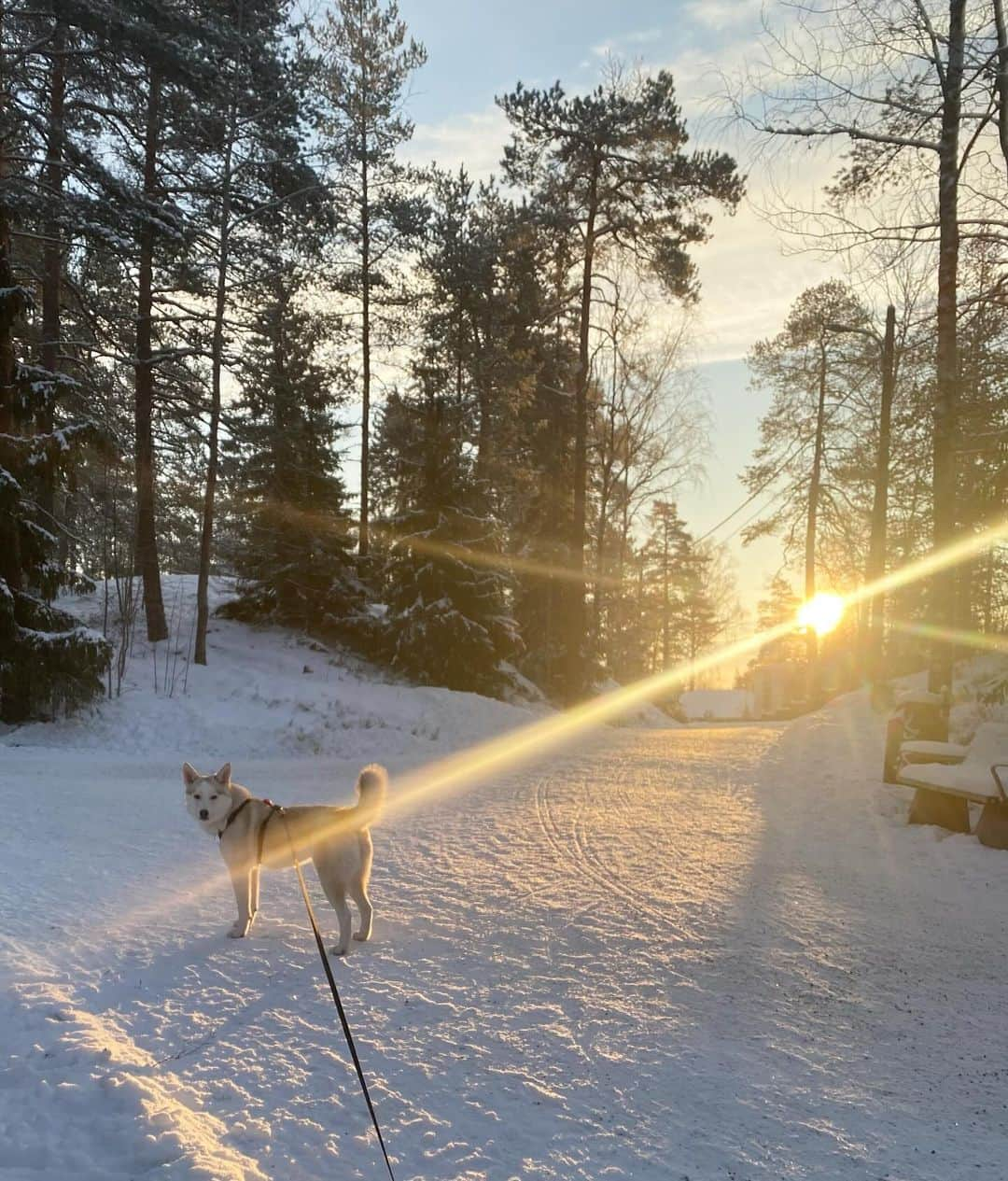 キーラ・コルピのインスタグラム：「Happy Sunday! ☀️」