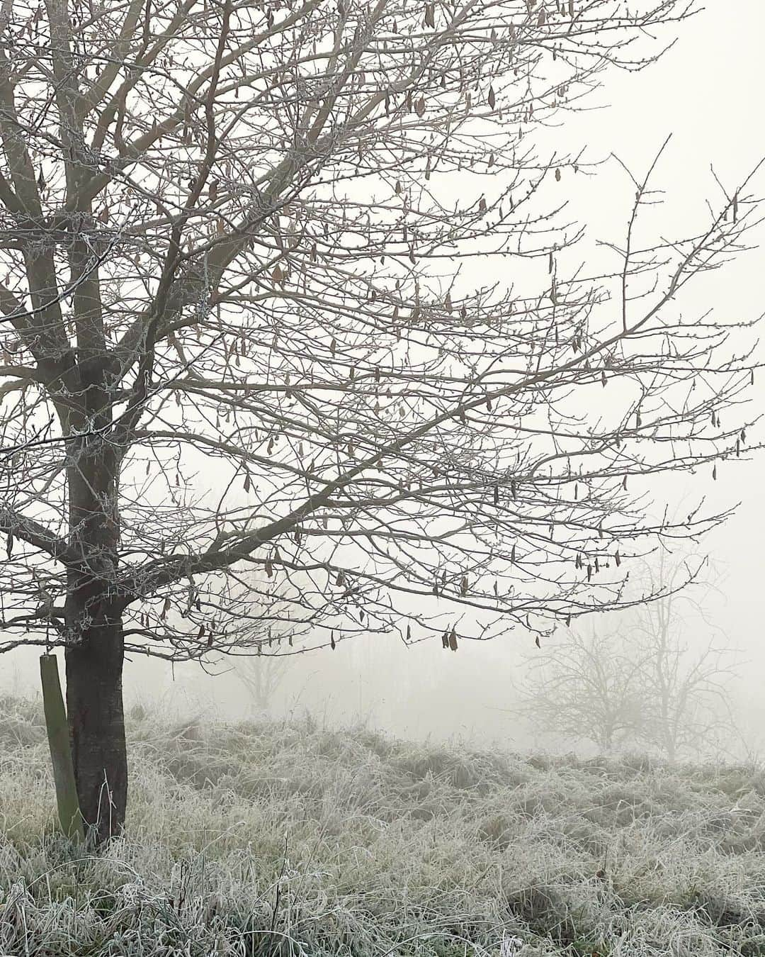 ギャランス・ドレさんのインスタグラム写真 - (ギャランス・ドレInstagram)「Autumn in Somerset. Our house in the mist, outerwear on for Lulu and I… And just stunning views all around. Now time to make a fire!!! (Can’t believe this is my life)  Have a wonderful Sunday!!! 🍂」12月3日 18時52分 - garancedore