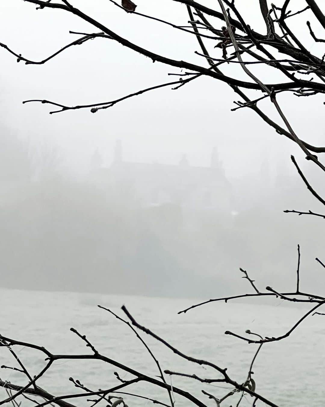 ギャランス・ドレさんのインスタグラム写真 - (ギャランス・ドレInstagram)「Autumn in Somerset. Our house in the mist, outerwear on for Lulu and I… And just stunning views all around. Now time to make a fire!!! (Can’t believe this is my life)  Have a wonderful Sunday!!! 🍂」12月3日 18時52分 - garancedore