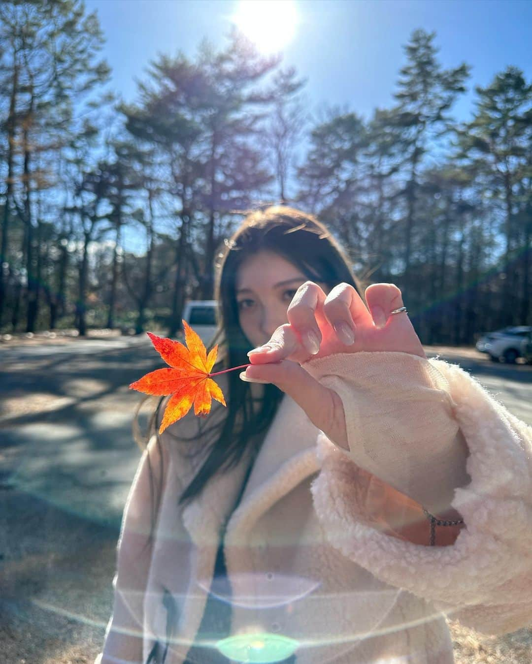 雑賀サクラさんのインスタグラム写真 - (雑賀サクラInstagram)「🍁」12月3日 19時23分 - sakura_saiga