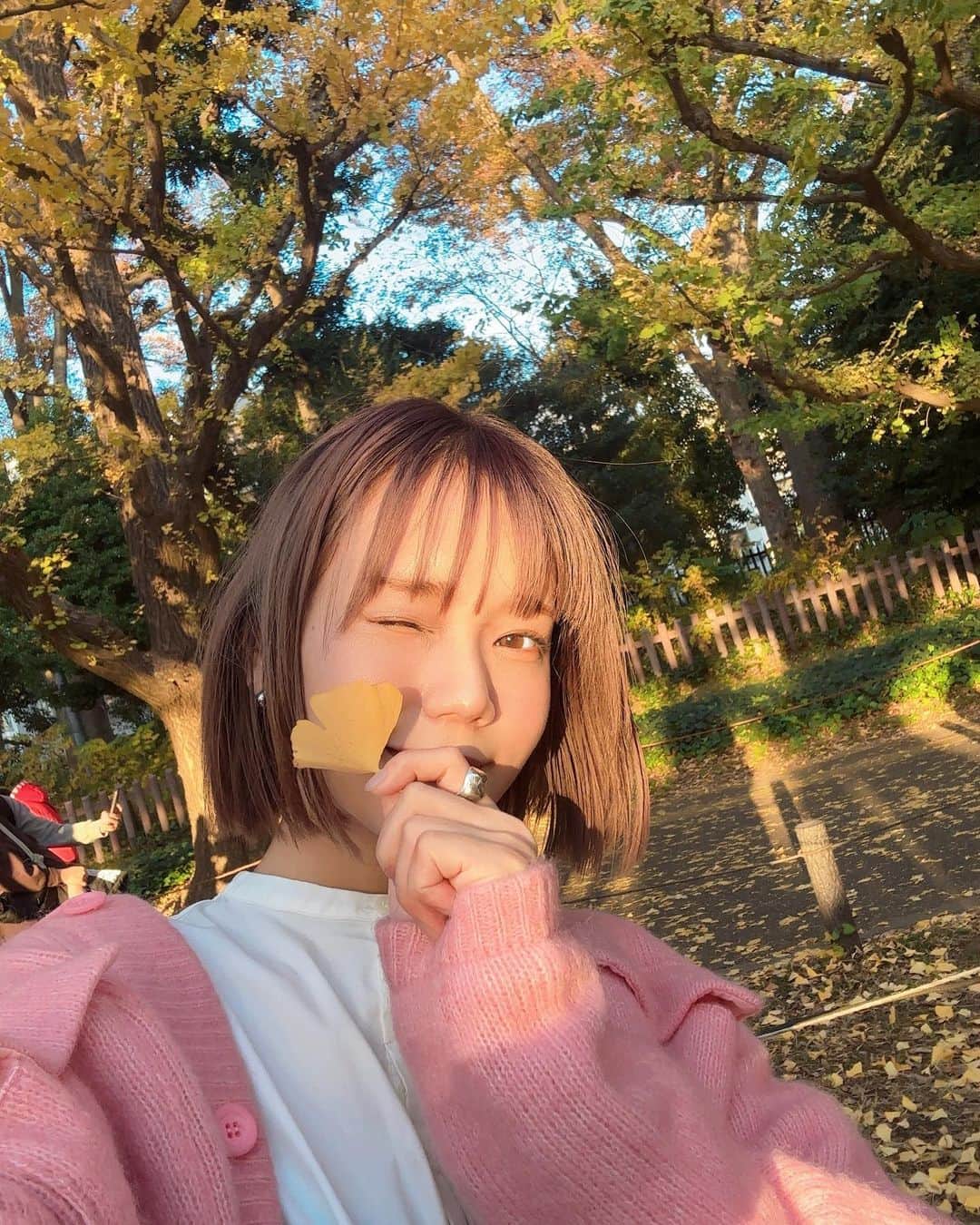 東口優希のインスタグラム：「さようなら秋🍂 こんにちは冬⛄  ・ ・ ・ ・ ・ ・ ・ ・ #紅葉  #いちょう並木  #グラビア #グラビアモデル #グラビアアイドル #ショートヘア #美容  #ボブ#撮影#水着 #ポートレート #ポートレート撮影  #shooting#photogram #underwater  #lingerie #photo#portrait #swimwear #photography #camera#fashion #glamour #japanese #japanesegirl #model #portraitphotography #photooftheday」