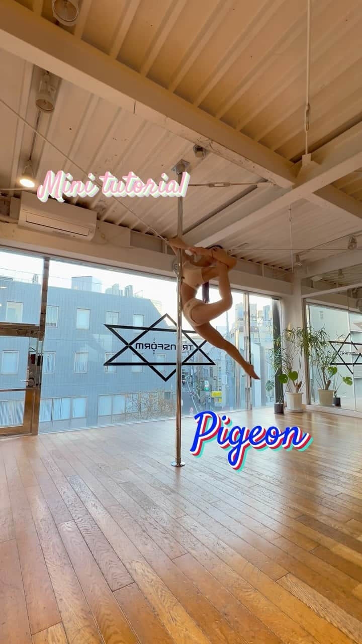 坂井絢香のインスタグラム：「Mini tutorial🕊️  #pdpigeon  ヨガの鳩のポーズみたいだね✨  挑戦したよー！出来たよー！ のタグ付け待ってます🫡💕　  Wearing @leanomse_official   #poledance #pdtricks #pdtutorial  #spinningpole」