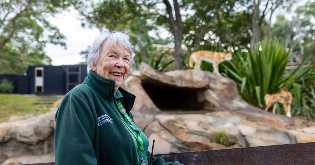 タロンガ動物園のインスタグラム：「Celebrating International Volunteer Day! 🙌🌟   We honour the amazing contributions of our volunteers, who selflessly dedicate their time and talents to support our mission of a shared future for wildlife and people. Among these remarkable individuals, we would like to shine a spotlight on Taronga's longest-serving volunteer, Gloria, and our incredible Youth at the Zoo (YATZ).   For 48-incredible-years, Gloria has been an integral part of the Taronga family with her wealth of knowledge and contributions extending far beyond her volunteer role, touching the lives of staff members and visitors alike. In comparison, our YATZ start their journey at Taronga as young as 13-years-old. Their passion, infectious enthusiasm and love for wildlife is truly inspiring. From assisting with animal care to educating visitors, all of our volunteers' commitment to Taronga has made a remarkable impact on our organization.   On the eve of this International Day of celebration, we extend our deepest gratitude to all our volunteers for their selfless service. Their support allows us to continue our vital work in conserving and protecting species, fostering connection, and inspiring positive action #ForTheWild.」