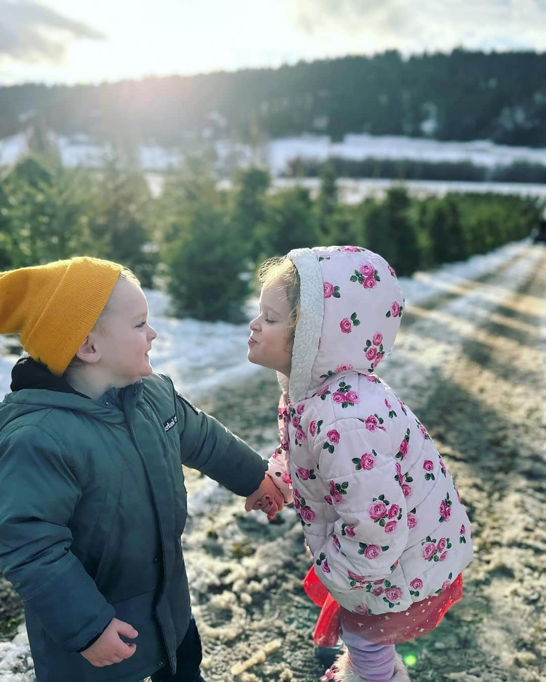 デヴィッド・ヘンリーさんのインスタグラム写真 - (デヴィッド・ヘンリーInstagram)「First time chopping down our own Christmas tree! Have y’all done this before? Unreal experience. So much fun. Highly recommend it. Slide three shows how I completely underestimated how much sawing was required 😅😅😅.」12月4日 6時03分 - davidhenrie