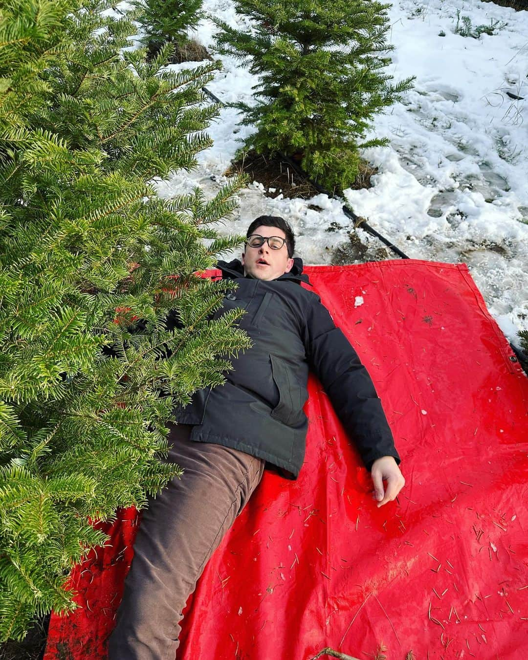 デヴィッド・ヘンリーさんのインスタグラム写真 - (デヴィッド・ヘンリーInstagram)「First time chopping down our own Christmas tree! Have y’all done this before? Unreal experience. So much fun. Highly recommend it. Slide three shows how I completely underestimated how much sawing was required 😅😅😅.」12月4日 6時03分 - davidhenrie