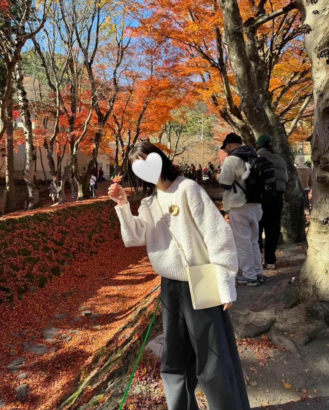 まるさんのインスタグラム写真 - (まるInstagram)「ㅤ ㅤ もみじ回廊🍁♡ ㅤ ㅤ紅葉が本当に綺麗で感動した！🥹 みんなにも是非行ってみてほしいナ〜 ㅤ 拾ったお気に入りもみじをずっと持ち歩いてた👣笑  ㅤ  #もみじ回廊 #河口湖もみじ回廊」12月3日 21時38分 - marumaru1530