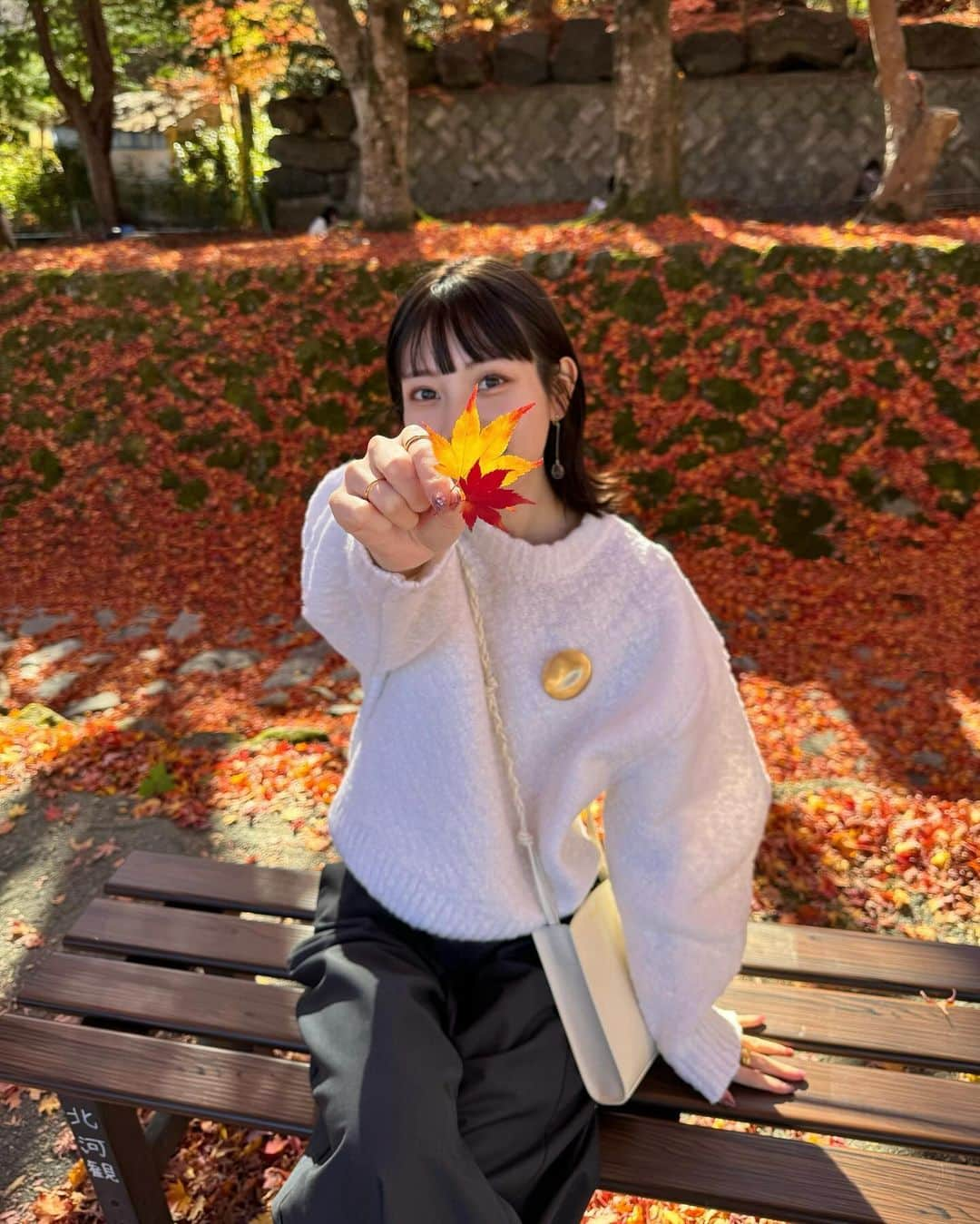 まるさんのインスタグラム写真 - (まるInstagram)「ㅤ ㅤ もみじ回廊🍁♡ ㅤ ㅤ紅葉が本当に綺麗で感動した！🥹 みんなにも是非行ってみてほしいナ〜 ㅤ 拾ったお気に入りもみじをずっと持ち歩いてた👣笑  ㅤ  #もみじ回廊 #河口湖もみじ回廊」12月3日 21時38分 - marumaru1530