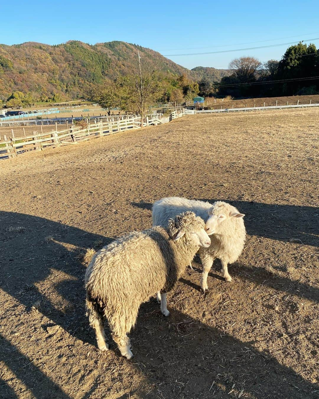 田中瞳さんのインスタグラム写真 - (田中瞳Instagram)「. 🌾」12月3日 21時57分 - hitomi_tanaka_9