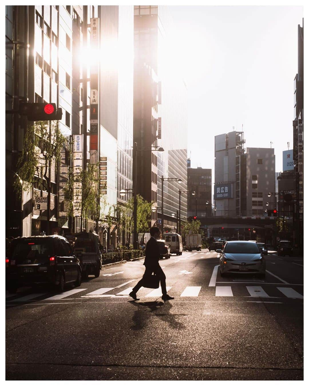 Takashi Yasuiのインスタグラム：「Tokyo 🚶🏻‍♂️ November 2023  📕My photo book - worldwide shipping daily - 🖥 Lightroom presets ▶▶Link in bio  #USETSU #USETSUpresets #TakashiYasui #SPiCollective #filmic_streets #ASPfeatures #photocinematica #STREETGRAMMERS #street_storytelling #bcncollective #ifyouleave #sublimestreet #streetfinder #timeless_streets #MadeWithLightroom #worldviewmag #hellofrom #reco_ig」