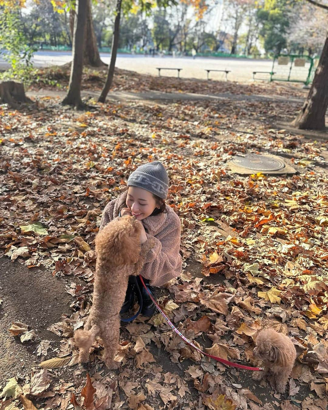 水野佐彩さんのインスタグラム写真 - (水野佐彩Instagram)「・ 🧸🤎🤍🍂🍁 クマさん着て我が家のクマちゃんたちとお散歩🐶❤️  #fbyrosso #uniqloanyahindmarch #テディベアコート」12月3日 22時14分 - saaya_mizuno